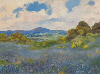 Bluebonnet Landscape