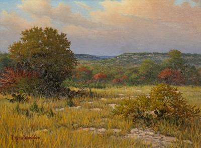 Hill Country Color