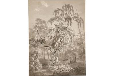 Wooded area with small pond by Adrian Zingg - Auction record, sale price, and art valuation. Compare with similar artists and explore comparable artworks.