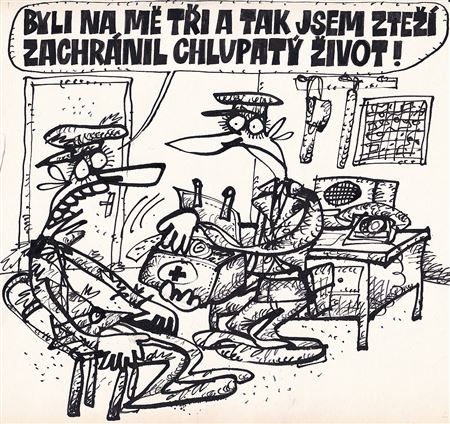 Chlupatý život