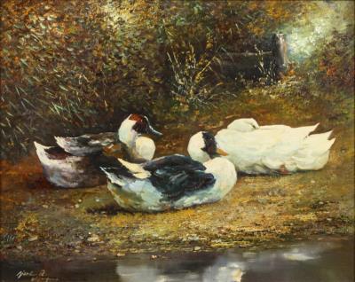 Ducks on the Water