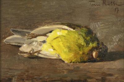 Still life with budgerigar
