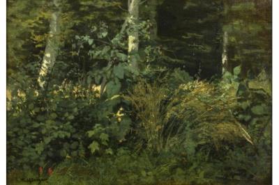 Waldinneres