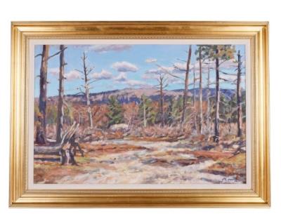 Burnt Ledge, Maine