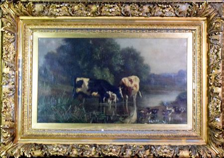 Cows at watering hole with ducks