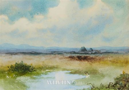 BOG LANDSCAPE