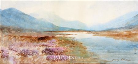 FLOWERING HEATHER BY A BOGLAND RIVER