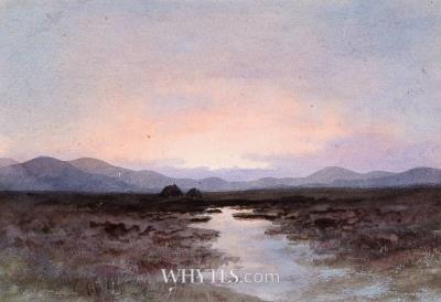 Turf Stacks in Bog Landscape