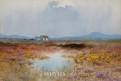 FLOWERING HEATHER AND COTTAGE