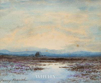West of Ireland Bogland