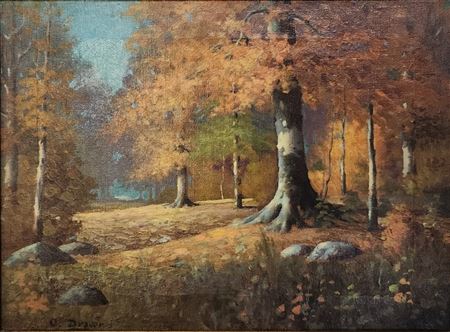 Autumn Interior Woods