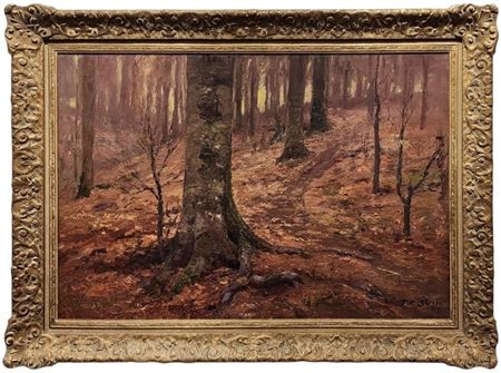 Autumn Interior Woods