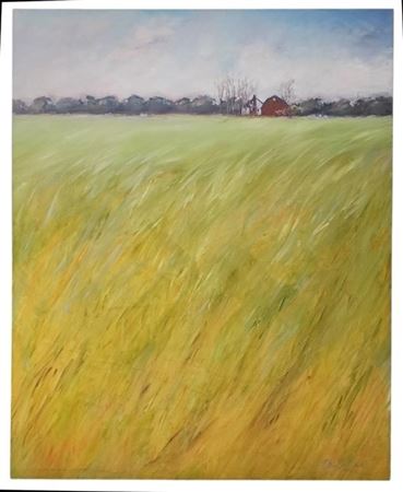 Hay Field and Barn