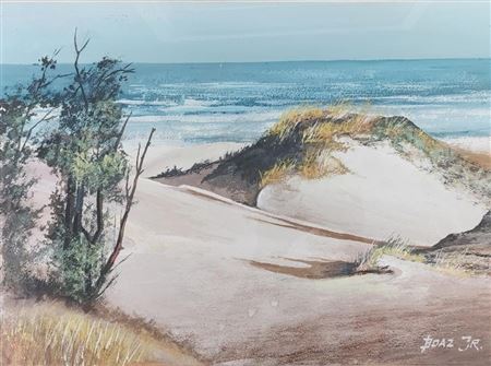 Beach Dune