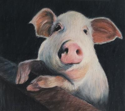 Piglet
