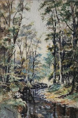 Wooded Creek
