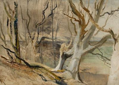 Studies for Winter Beeches, Poynings