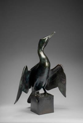 Cormorant