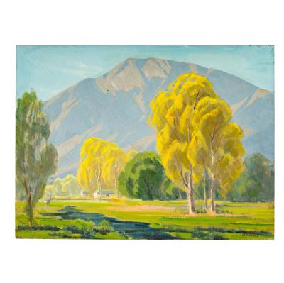 Southern California Mountains