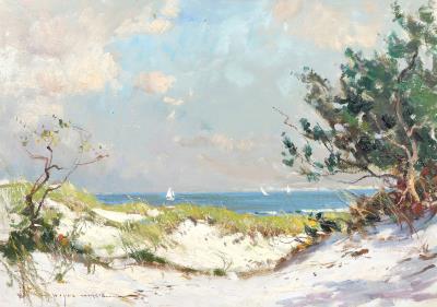 Wingaersheek Dunes