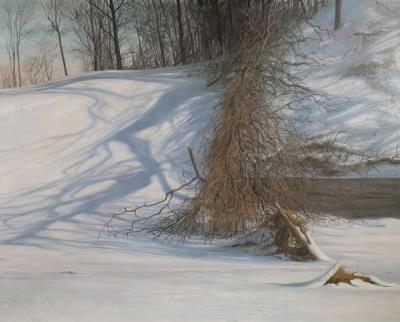 Shadowy Winterscape