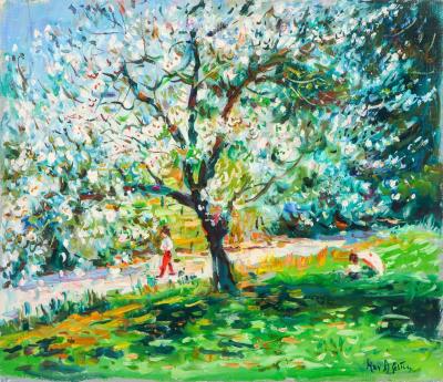 The cherry blossom tree