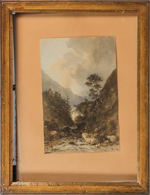 Stag in the mountains