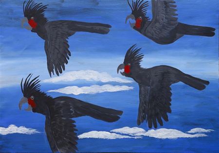 Cockatoos from the Desert