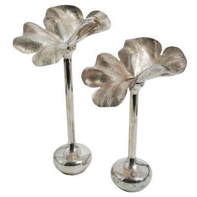 Amaryllis (2)