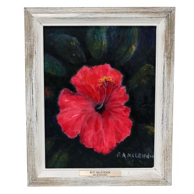 Red Hibiscus
