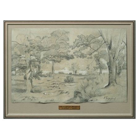Winter Landscape