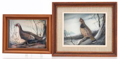 "Wild Turkey" and "Ruffed Grouse"