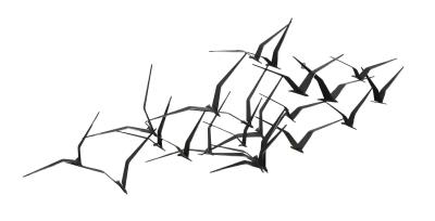 Birds in Flight