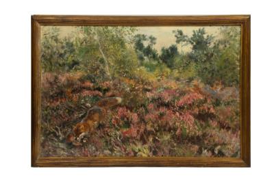 Fox in the forest