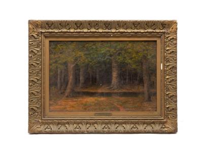 WOODS AT TWILGHT