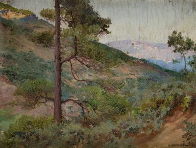 Mountain Landscape