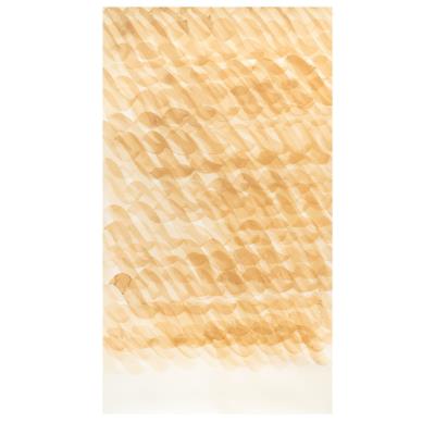 Words are Ropes by Mircea Cantor - Auction record, sale price, and art valuation. Compare with similar artists and explore comparable artworks.