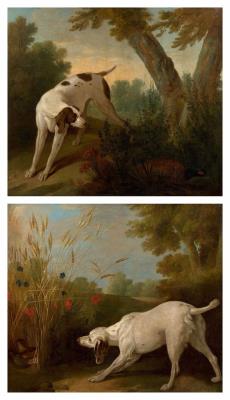 Dog standing still in front of a pheasant; Dog standing still in front of a pair of gray partridges with ears of wheat