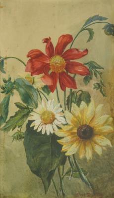 Flower Bouquet with Daisy and Margaritas
