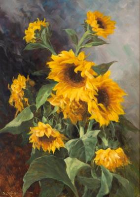 Sunflower