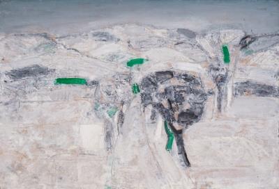 Landscape in white