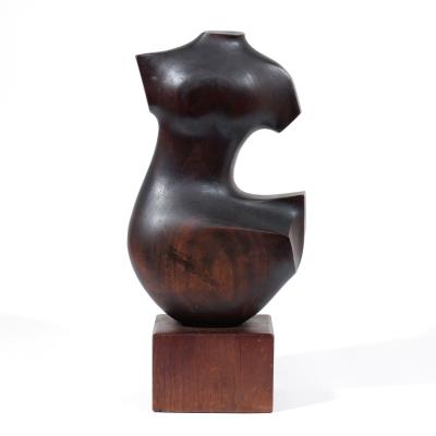Torso