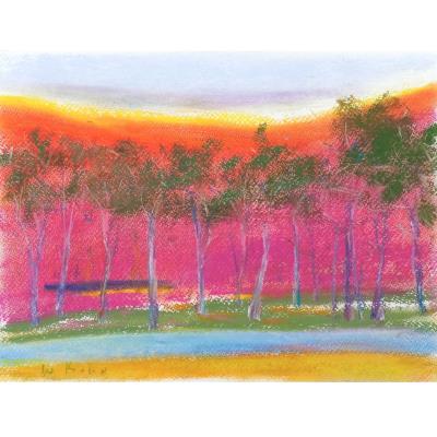 Sunset in Fuschia