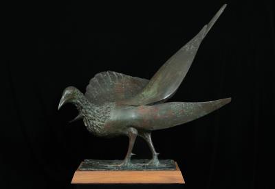 Larger Cambridge Pheasant