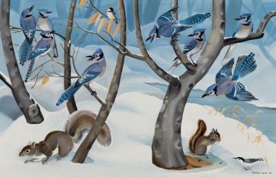 Jays and Squirrels