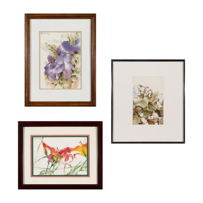 Iris; White Flower; Lilly by Dewitt Hardy - Auction record, sale price, and art valuation. Compare with similar artists and explore comparable artworks.