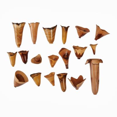 Collection of Nineteen Turned Wood Vessels with Live Edges