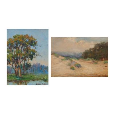 Eucalyptus; Sand Dunes