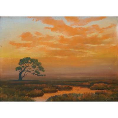 Marsh at Sunset, California