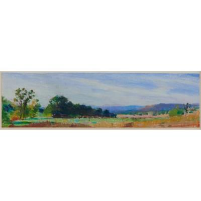 Irrigated Pasture